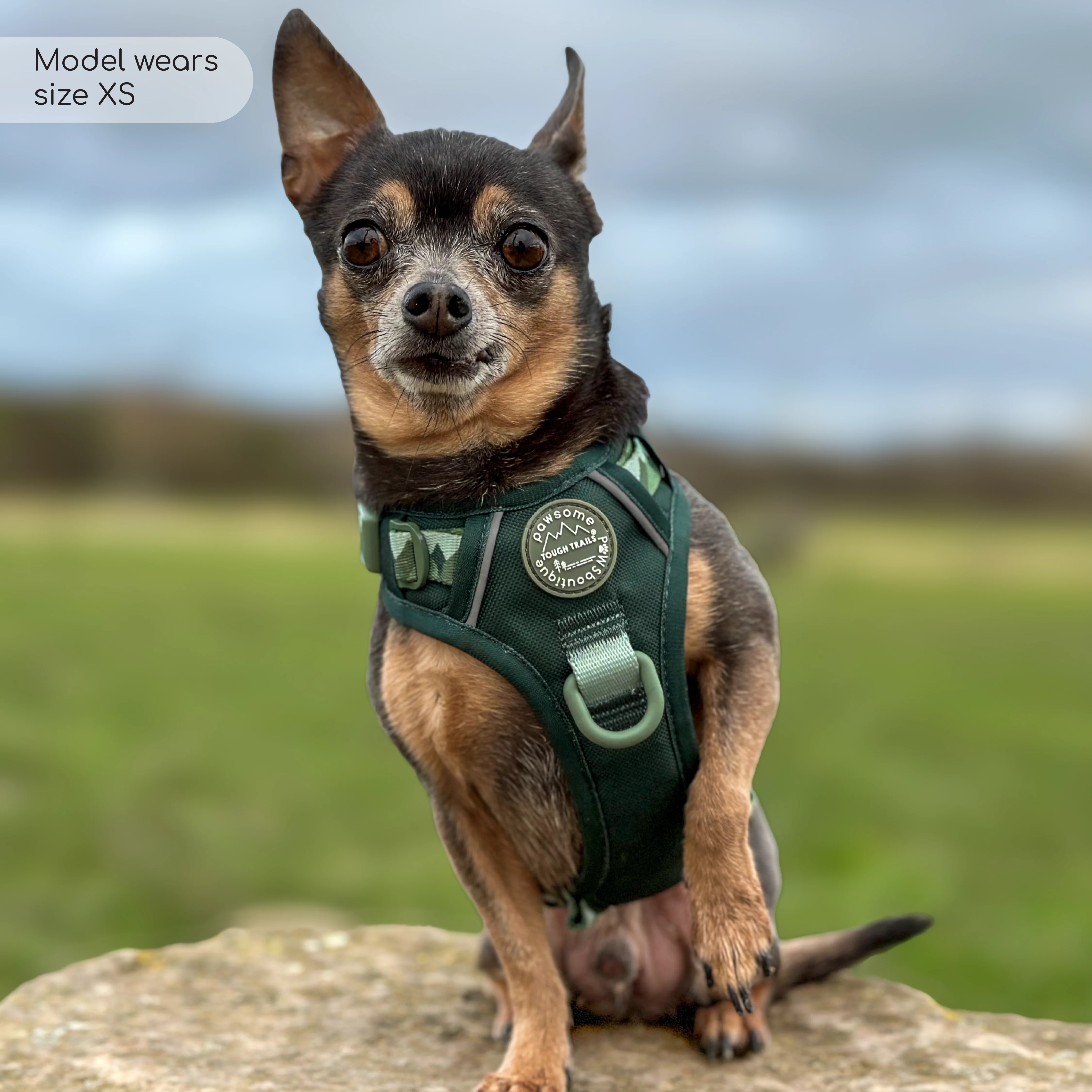 Product image 21